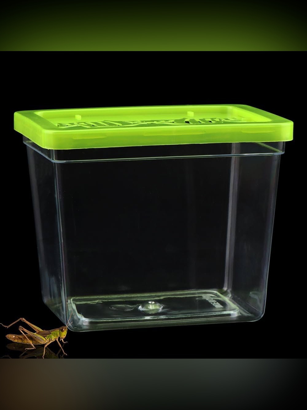 Small Plastic Reptile Carrier
